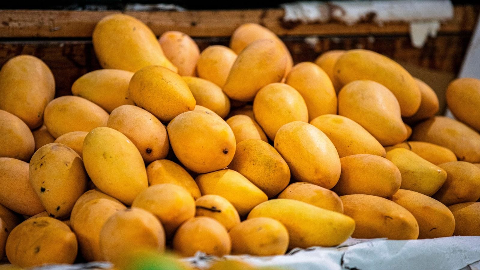 Exclusive Mango Alert! Taste the Magic of India’s Finest!